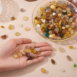 250G Dyed & Heated Natural Agate Beads&nbsp;G-TA0002-73G