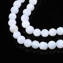 Natural Freshwater Shell Beads Strands&nbsp;SHEL-N003-24
