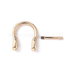 Alloy D-Rings with Screw Shackle&nbsp;FIND-WH0010-29