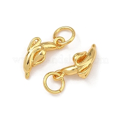 Brass Charms&nbsp;KK-F941-42B-G
