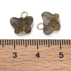 Natural Labradorite Pendants&nbsp;KK-D289-61G-05
