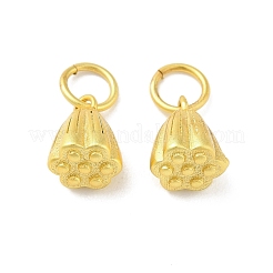 Rack Plating Brass Charms&nbsp;KK-G408-03MG