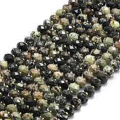 Natural African Turquoise(Jasper) Beads Strands&nbsp;G-P573-A28-01