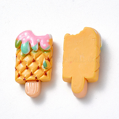 Resin Cabochons&nbsp;X-CRES-N024-06