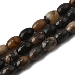 Natural Petrified Wood Beads Strands&nbsp;G-K362-I11-02