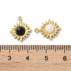 Natural Mixed Stone Charms&nbsp;STAS-Z099-09G