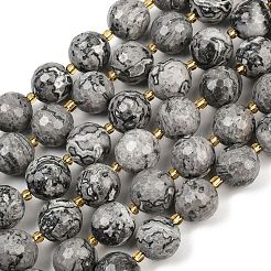 Natural Map Stone Beads Strands&nbsp;G-C249-A05-16mm
