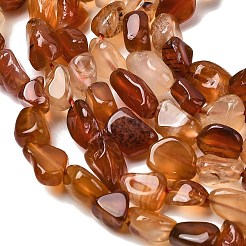 Natural Red Agate Beads Strands&nbsp;G-P601-A17-03