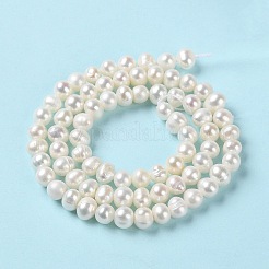 Natural Cultured Freshwater Pearl Beads Strands&nbsp;PEAR-E018-42