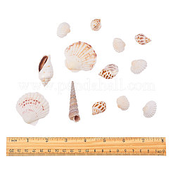 Natural Scallop Shell Beads&nbsp;SSHEL-CJ0001-02