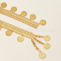 Alloy Coin Tassel Waist Belly Chains for Women&nbsp;FS-WG800EF-01