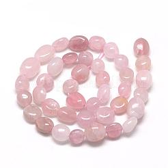 Natural Madagascar Rose Quartz Beads Strands&nbsp;G-R445-8x10-13