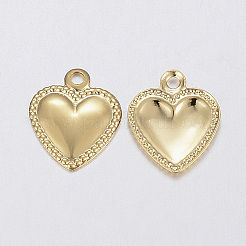 304 Stainless Steel Charms&nbsp;LS-A-STAS-F160-31G