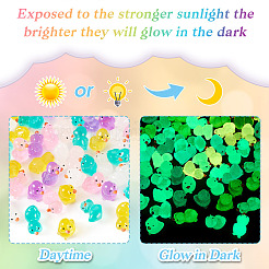 56pcs 14 styles Duck Luminous Resin Display Ornaments&nbsp;DJEW-TA0001-09