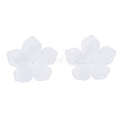 Transparent Acrylic Beads&nbsp;FACR-N005-004