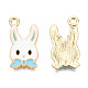 Alloy Pendants&nbsp;X-ENAM-S119-045B-02-1