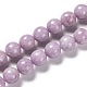 Natural Lepidolite Beads Strands&nbsp;G-H247-11C-1