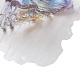 Waterproof PET Stickers Set&nbsp;DIY-Z035-02B-3