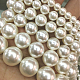 Shell Pearl Beads Strands&nbsp;BSHE-E008-16mm-12-2