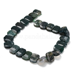 Natural Moss Agate Beads Strands&nbsp;G-C285-A13-01