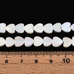 Electroplated Natural Freshwater Shell Beads Strands&nbsp;SSHEL-T017-30