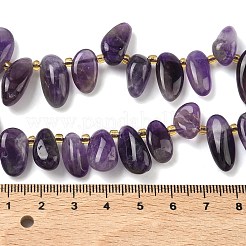Natural Amethyst Beads Strands&nbsp;G-P604-A16-01