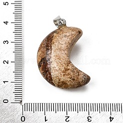 Natural Picture Jasper Pendants&nbsp;G-F820-02F