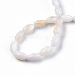 Natural Freshwater Shell Beads Strands&nbsp;SHEL-N026-212