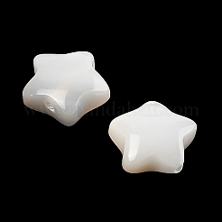 Natural White Shell Beads&nbsp;SSHEL-I026-11