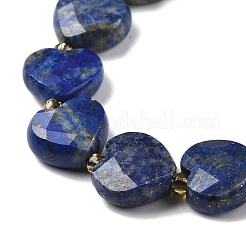 Natural Lapis Lazuli Beads Strands&nbsp;G-B044-B19-01