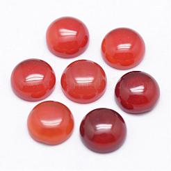 Natural Carnelian Cabochons&nbsp;G-P215-15-8mm