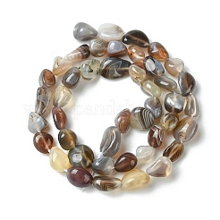 Natural Botswana Agate Nuggets Beads Strands&nbsp;G-L154-03