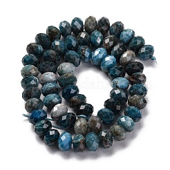 Natural Apatite Beads Strands&nbsp;G-K380-A51-02