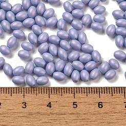 Baking Paint Glass Seed Beads&nbsp;SEED-C004-04I