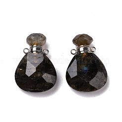 Teardrop Natural Labradorite Perfume Bottle Pendants&nbsp;G-H241-02D-P