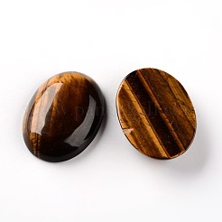 Oval Natural Tiger Eye Cabochons&nbsp;G-I172-22x30mm-06