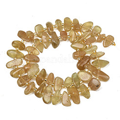 Natural Yellow Apatite Beads Strands&nbsp;G-L657-E06-01