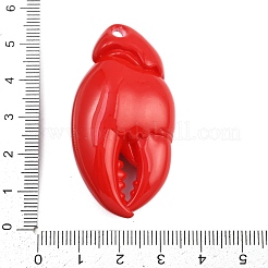 Acrylic Big Pendants&nbsp;OACR-D313-01A