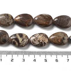 Natural Wealth Stone Beads Strands&nbsp;G-P528-L04-01