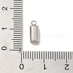 304 Stainless Steel Charm&nbsp;X-STAS-L022-242P