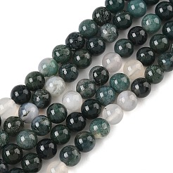 Natural Moss Agate Beads Strands&nbsp;X-G-L470-31-6mm