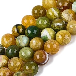 Natural Dragon Veins Agate Beads Strands&nbsp;G-Q606-42B-D02
