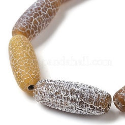 Natural Weathered Agate Beads Strands&nbsp;G-Q169-D04-01A