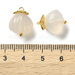 Natural Agate Shell Shaped Pendants&nbsp;G-G179-04