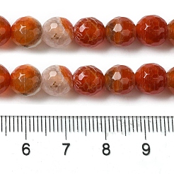 Dyed & Heated Natural Fire Crackle Agate Beads Strands&nbsp;G-P539-B01-19