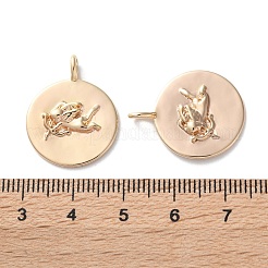 Brass Pendants&nbsp;KK-C079-02G
