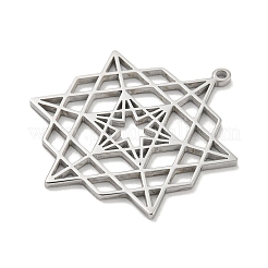304 Stainless Steel Pendants&nbsp;STAS-M067-09P