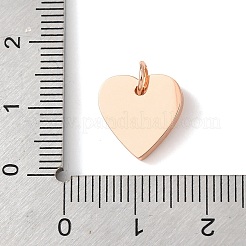 316 Surgical Stainless Steel Pendants&nbsp;LS-STAS-K178-05RG