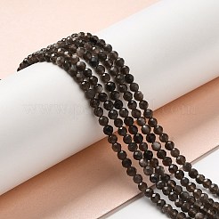 Natural Silver Sheen Obsidian Beads Strands&nbsp;G-E608-A02-B