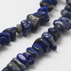 Natural Lapis Lazuli Beads Strands&nbsp;G-F328-21